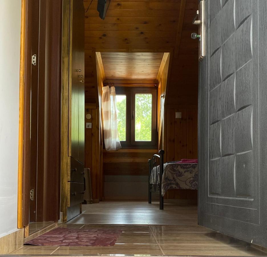 Villa Γαληνη 3 à Litochoro Extérieur photo