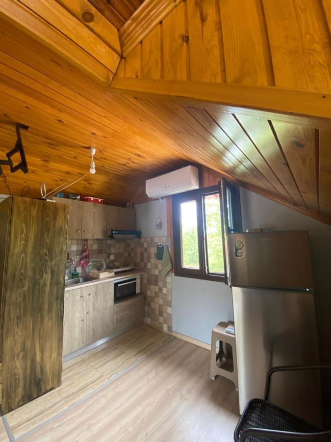 Villa Γαληνη 3 à Litochoro Extérieur photo
