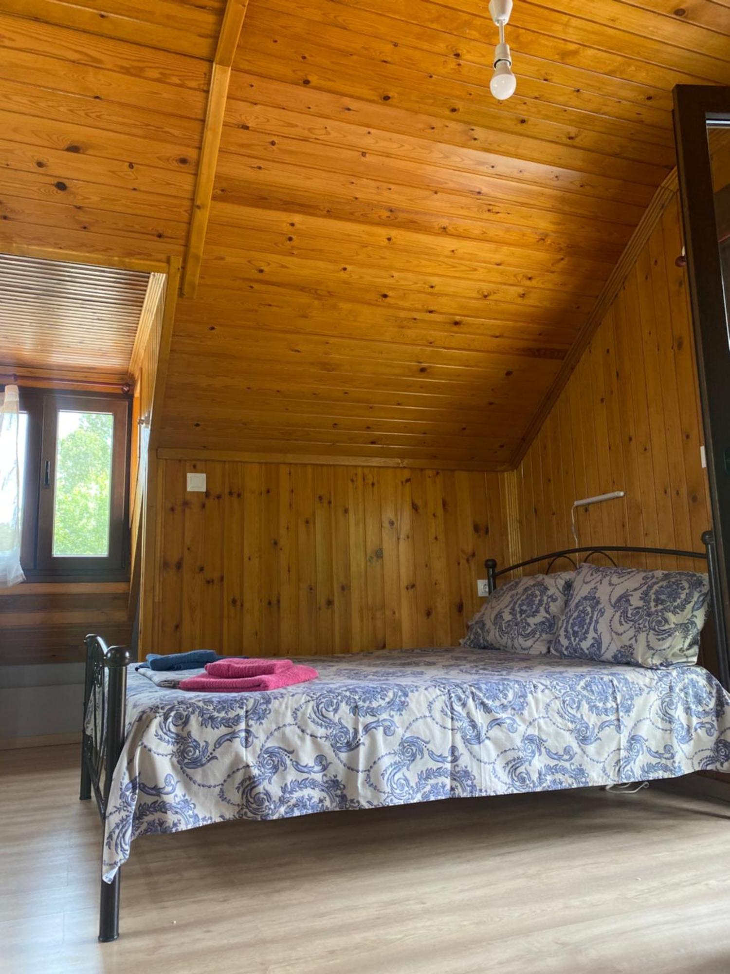 Villa Γαληνη 3 à Litochoro Extérieur photo